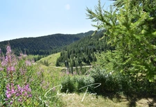 SERRE CHEVALIER - CHALET D'ALPAGE AU COEUR DU DOMAINE SKIABLE