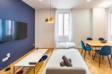 À louer – Appartement T2 meublé de 51 m² – Villeurbanne Gratte-Ciel