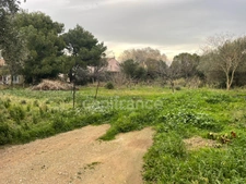 Dpt Aude (11), À vendre : Terrain aménageable de 3000m² proche de Narbonne