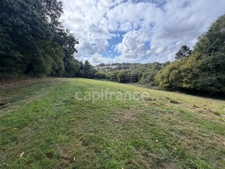 EXCLUSIVITÉ - TREBRIVAN - Maison avec terrain de plus de 2 hectares et dépendances à vendre 5 pièces  (22)