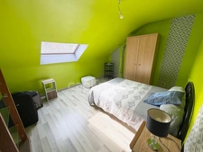 Magnifique propriété à vendre 9 pièces SPEZET / VIE DE PLAIN PIED POSSIBLE (29)