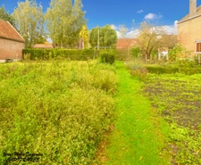  MARCHIENNES (59870) - TERRAIN A VENDRE
