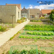 VILLERS-OUTREAUX (59) – Vente en Viager occupé – Maison 4 pièces, 2 chambres, garage et jardin