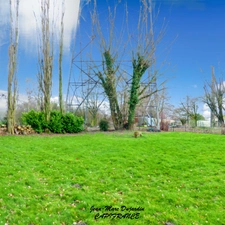 Bruille-lez-Marchiennes (59490) – Propriété familiale 202 m² – 5 chambres – 4 200 m² de terrain – 268 000 € FAI