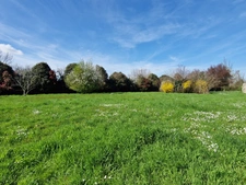 Dpt Charente Maritime (17), à vendre proche de SAINT SAVINIEN maison P8 de 290 m² - Terrain de 14 750,00 m² 