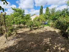 Dpt Charente Maritime (17), à vendre TONNAY BOUTONNE maison P6 de 146 m² - Terrain de 515,00 m² 
