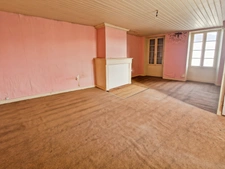 Maison à vendre 12 pièces BRIZAMBOURG (17)- Ensemble immobilier- 2 maisons, jardin- garage