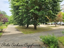 En Exclusivité, à l'orée du bois T3 de 63,50m2 à Valentigney