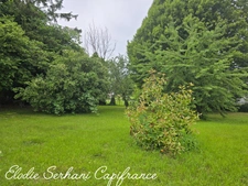En Exclusivité maison charmante et atypique (possibilité de location) T8 de 266,88m2 à Mandeure