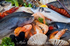 Fonds de commerce Restaurant poissonnerie CANET EN ROUSSILLON (66) Emplacement stratégique, littoral Catalan, zone touristique