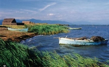 Building for sale, hotel with potential for a restaurant, CANET EN ROUSSILLON (66) *EXCLUSIVE TO CAPIFRANCE*