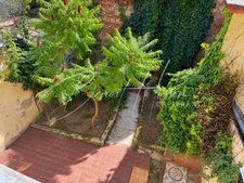 Maison de ville de 130m² avec cour, garage et dépendance 