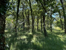Terrain constructible de 1768m² - Hors lotissement