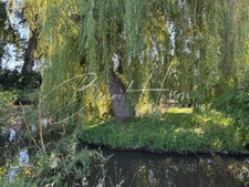 DOMAINE RURAL DE CARACTÈRE – 600 m² DE SURFACES – TERRAIN 6 843 m² 