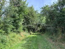 DOMAINE RURAL DE CARACTÈRE – 600 m² DE SURFACES – TERRAIN 6 843 m² 
