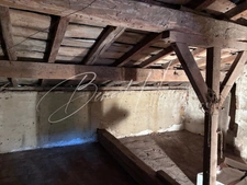 Charming village house (221m² on a 778m² plot with garage and large jacuzzi)