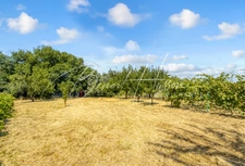 Maison familiale – 188m² – 5 chambres – jardin de plus de 3800m² 