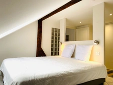 Appartement entièrement rénové, à deux pas de la Maison Pfister, en plein coeur historique de Colmar  