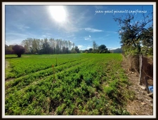 Dpt Hautes Pyrénées (65), à vendre MOMERES terrain 