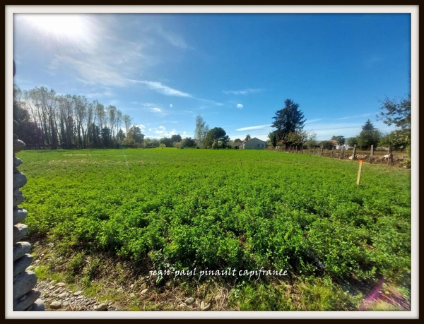 Dpt Hautes Pyrénées (65), à vendre MOMERES terrain 