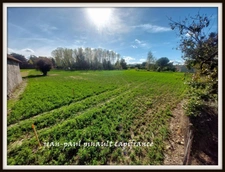 Dpt Hautes Pyrénées (65), à vendre MOMERES terrain 