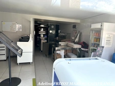 IMMEUBLE CHAZELLE SUR LYON - 1 APPARTEMENT - 1 LOCAL COMMERCIAL - 