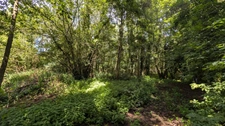 À VENDRE – SUPERBE TERRAIN CONSTRUCTIBLE DE 2 000 m² À QUIESTÈDE 🌳(62)