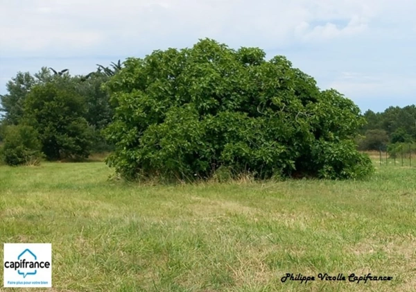 Terrain à vendre de 1 403,00 m² DOLUS D'OLERON (17) 90000 €