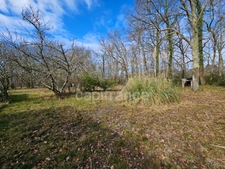 Maison Familiale de 7 pièces , à SALAUNES (33), à Vendre, 