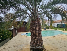Maison de plain-pied type 3, avec piscine, Eysines, 