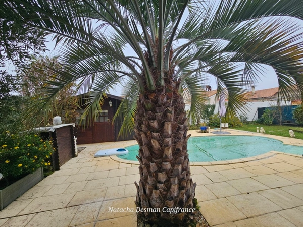 Maison de plain-pied type 3, avec piscine, Eysines, 