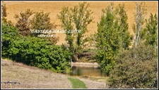 Propriete à vendre-Maison 7 pièces + bâtiments- 85,61 HECTARES  proche de VIC FEZENSAC (32)