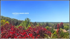 Maison T4 pièces MIRANDE (32) 110 M²-Proche centre-ville - Vue Pyrénées - Piscine au Sel - Jardin sans vis à vis- Terrain clôturé de 3000 m²-Garage