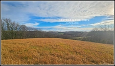 TERRAIN  à vendre  PESSAN (32)