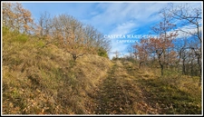 TERRAIN  à vendre  PESSAN (32)