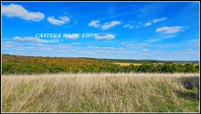 Propriete à vendre-Maison 7 pièces + bâtiments- 85,61 HECTARES  proche de VIC FEZENSAC (32)