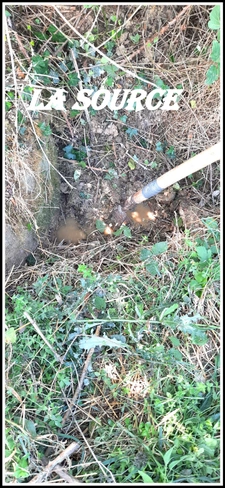 Dpt Gers (32), ferme 3 HECTARES environ à 15 minutes d'AUCH 