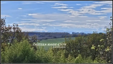 Maison à vendre 8 pièces 272 M² Proche Auch 19756 M² - Secteur recherché - Vue Pyrénées