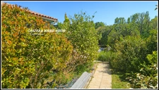 Maison T4 pièces MIRANDE (32) 110 M²-Proche centre-ville - Vue Pyrénées - Piscine au Sel - Jardin sans vis à vis- Terrain clôturé de 3000 m²-Garage