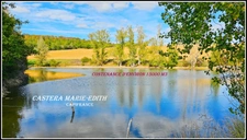 Propriete à vendre-Maison 7 pièces + bâtiments- 85,61 HECTARES  proche de VIC FEZENSAC (32)