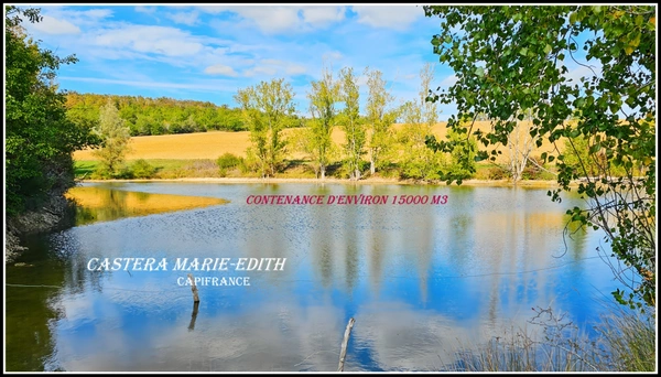 Propriete à vendre-Maison 7 pièces + bâtiments- 85,61 HECTARES  proche de VIC FEZENSAC (32)
