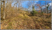 TERRAIN  à vendre  PESSAN (32)