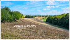 Propriete à vendre-Maison 7 pièces + bâtiments- 85,61 HECTARES  proche de VIC FEZENSAC (32)
