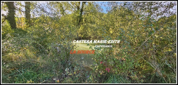 Terrain  2514 m² avec source et plan d'eau 10MN d'Auch  PESSAN (32)