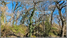 TERRAIN  à vendre  PESSAN (32)