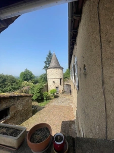 PROPRIETE AGRICOLE à vendre AUBIN (12)
