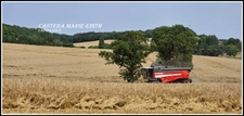 Dpt Gers (32), à vendre proche AUCH - propriété agricole - 145 Hectares avec LAC et 860 M² de bâtiments