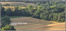 Dpt Gers (32), à vendre proche AUCH - propriété agricole - 145 Hectares avec LAC et 860 M² de bâtiments