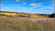 Propriete à vendre-Maison 7 pièces + bâtiments- 85,61 HECTARES  proche de VIC FEZENSAC (32)