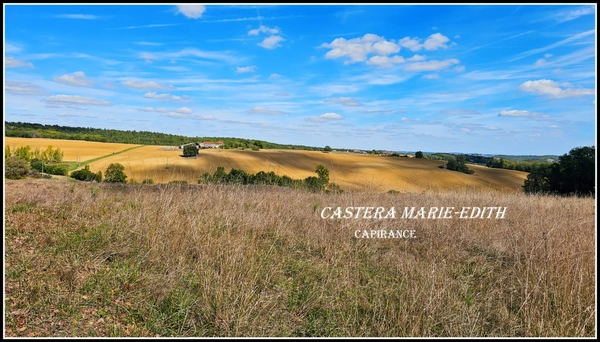 Propriete à vendre-Maison 7 pièces + bâtiments- 85,61 HECTARES  proche de VIC FEZENSAC (32)